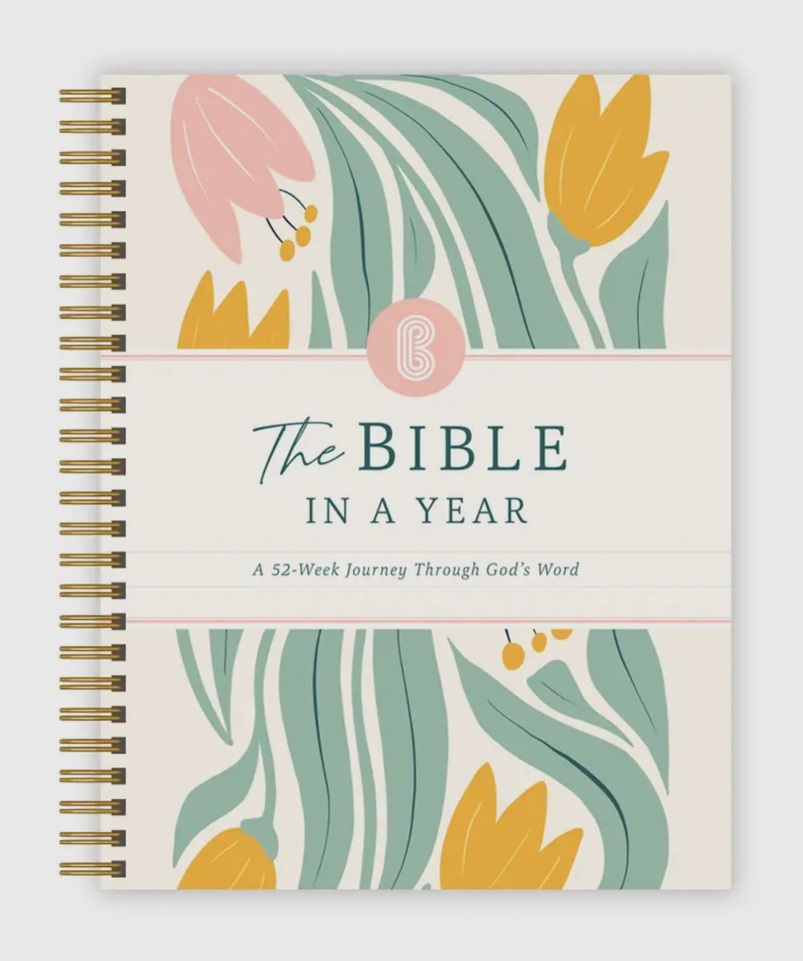 The Bible In A Year: 52 Week Study