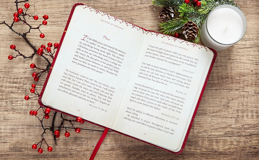 The Story Of Christmas Devotion