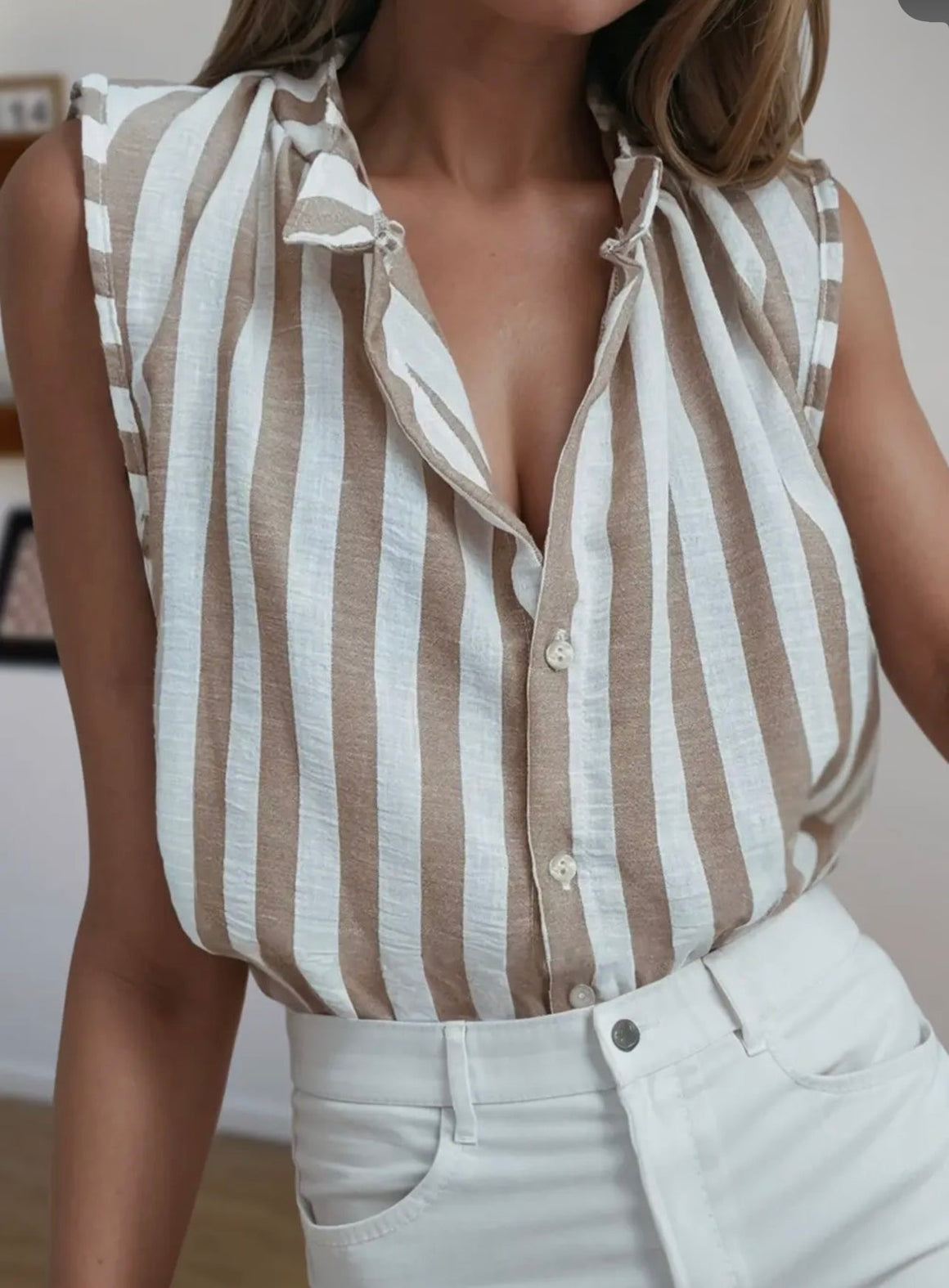 Meryl Stripe Sleeveless Taupe Top