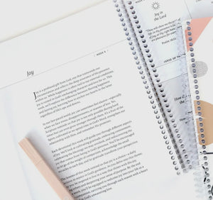 Anchored In His Word: 90 Day Devotion