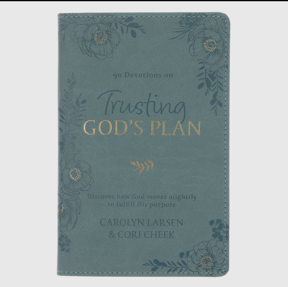 Trusting Gods Plan Devotion