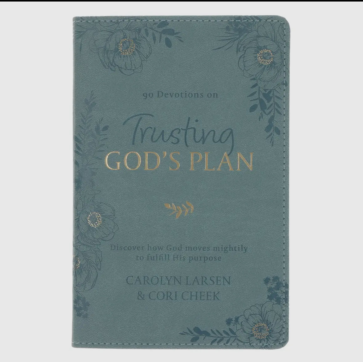 Trusting Gods Plan Devotion