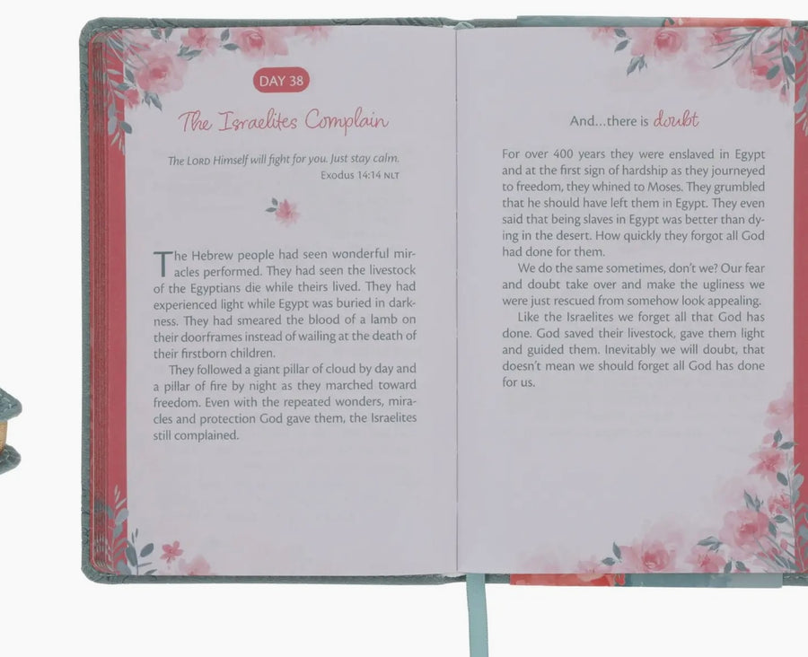 Trusting Gods Plan Devotion