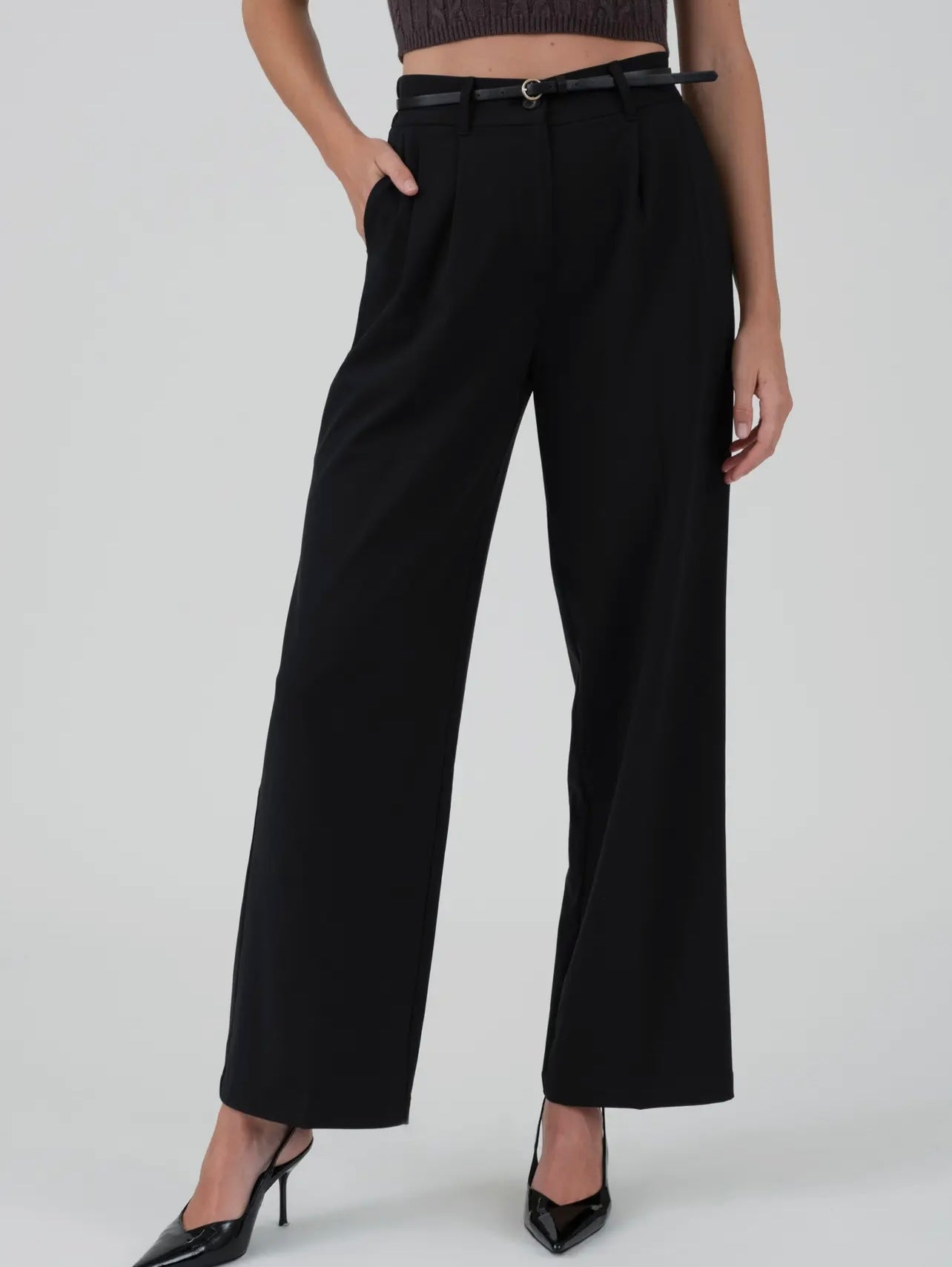 Eleven Pleated Black Wide Leg Dress Pant