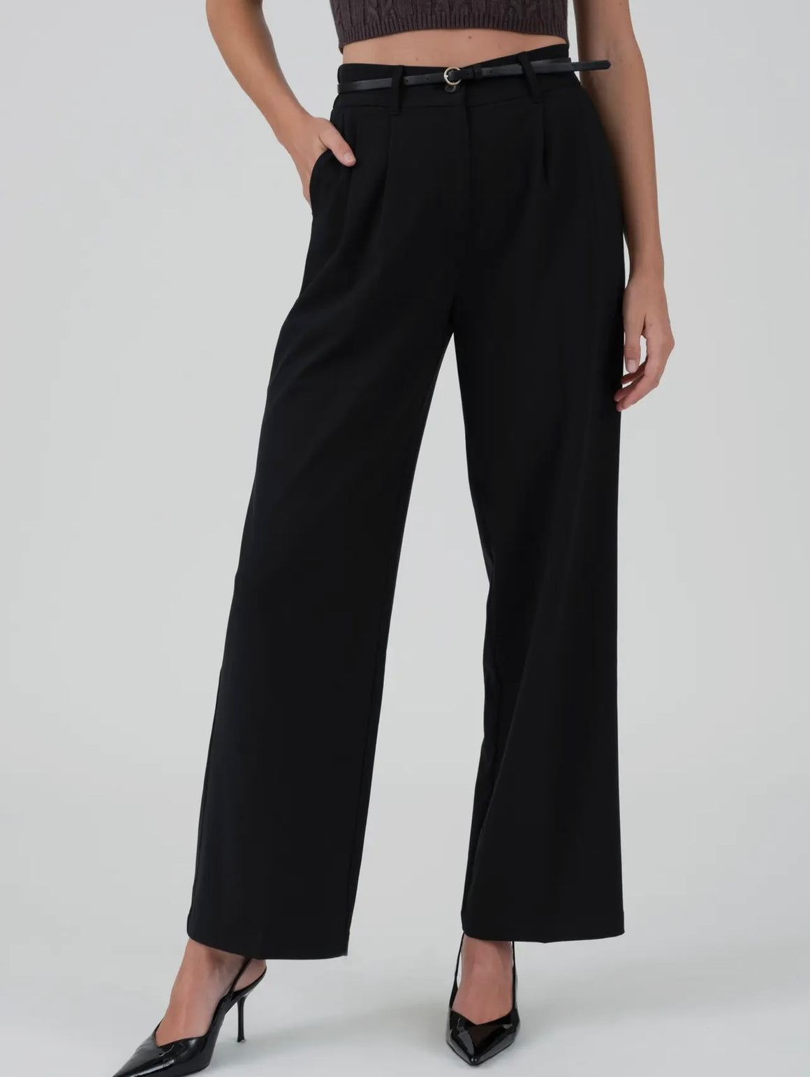 Eleven Pleated Black Wide Leg Dress Pant