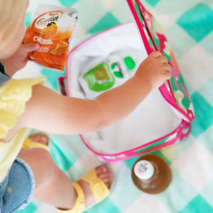 School Girl Pop Of Color Backpack or Lunchbox